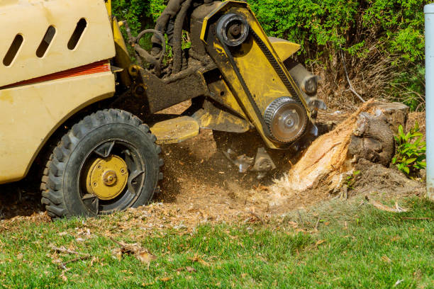 Best Utility Line Clearance  in Rexburg, ID